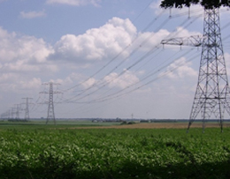 image11